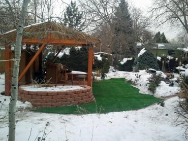 Artificial Grass Photos: Synthetic Pet Turf Yucaipa California Back and Front Yard